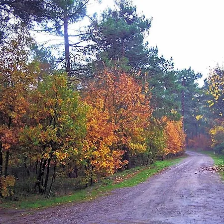 Iliada Kaz Daglari * Yenice (Izmir)